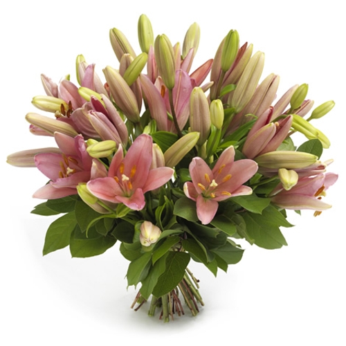 Roze lelieboeket