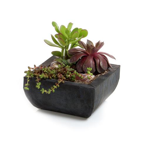 Plantenarrangement 3