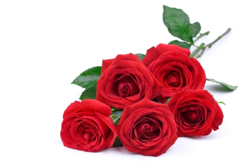 5 rode rozen