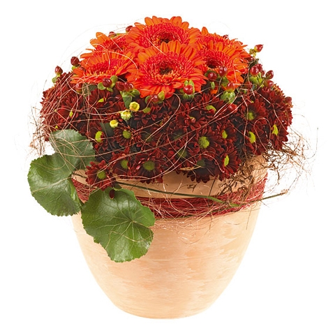 Sfeervol Herfstpotje
