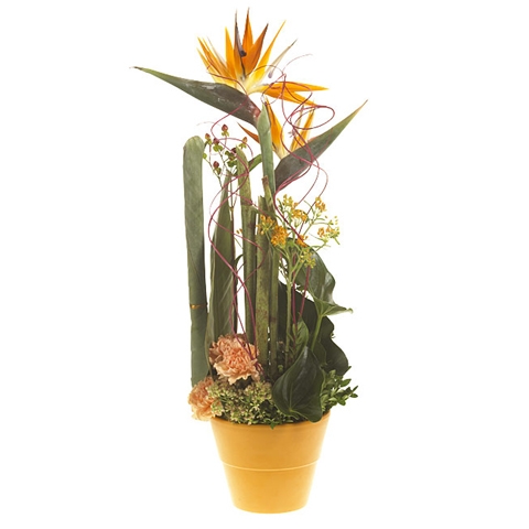 Bloemstuk